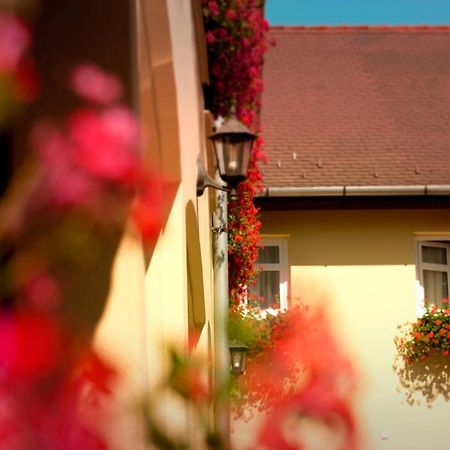 Nemethy Panzio Otel Debrecen Dış mekan fotoğraf