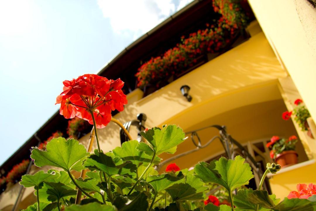 Nemethy Panzio Otel Debrecen Dış mekan fotoğraf