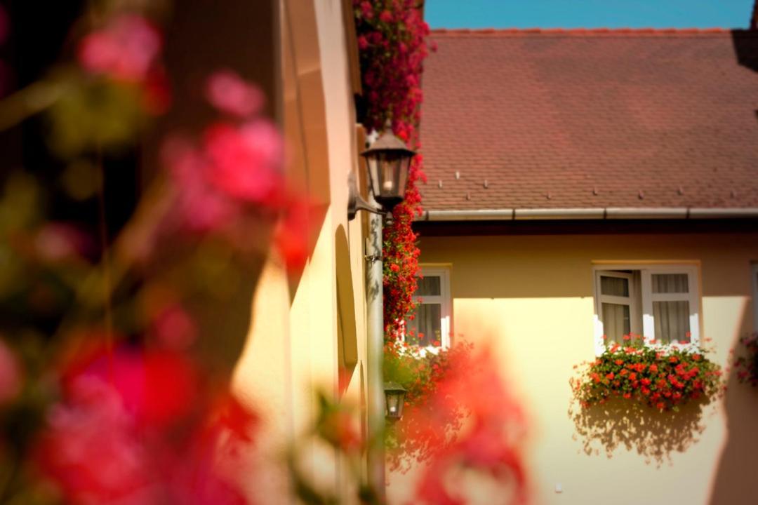 Nemethy Panzio Otel Debrecen Dış mekan fotoğraf