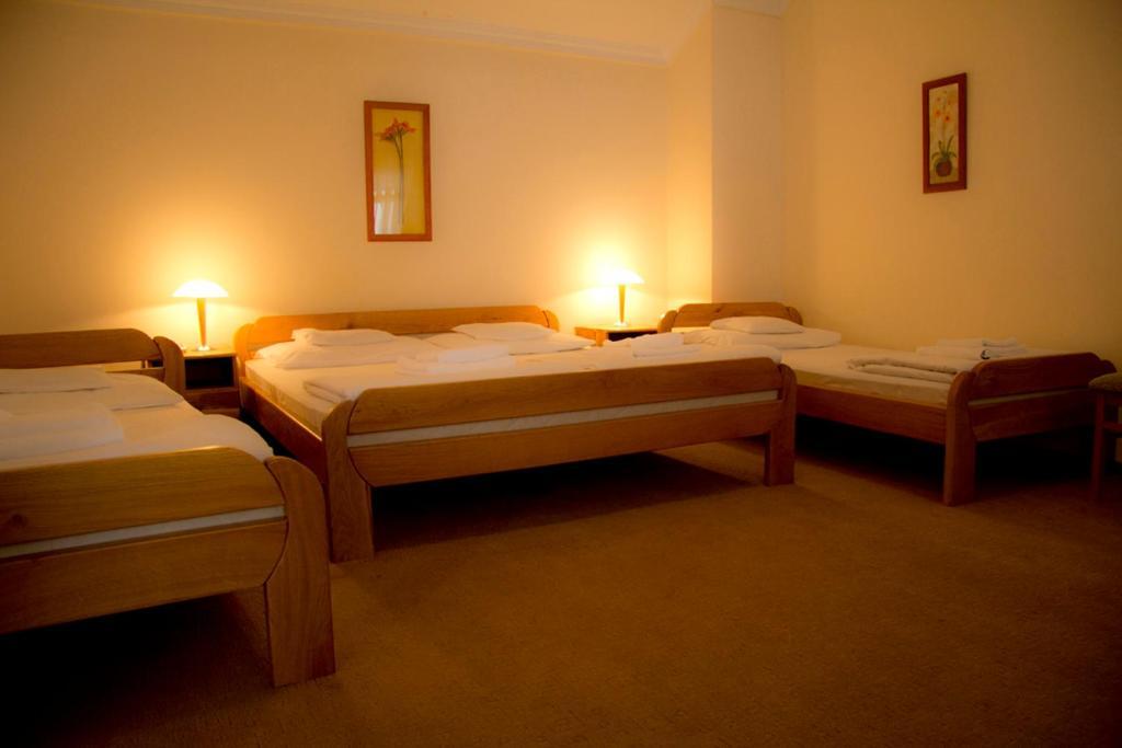 Nemethy Panzio Otel Debrecen Oda fotoğraf